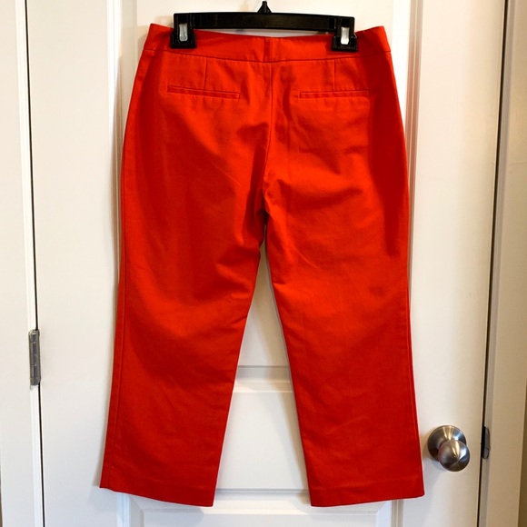 Tahari ASL Rad Simple Scuba Pants - Picture 7 of 8